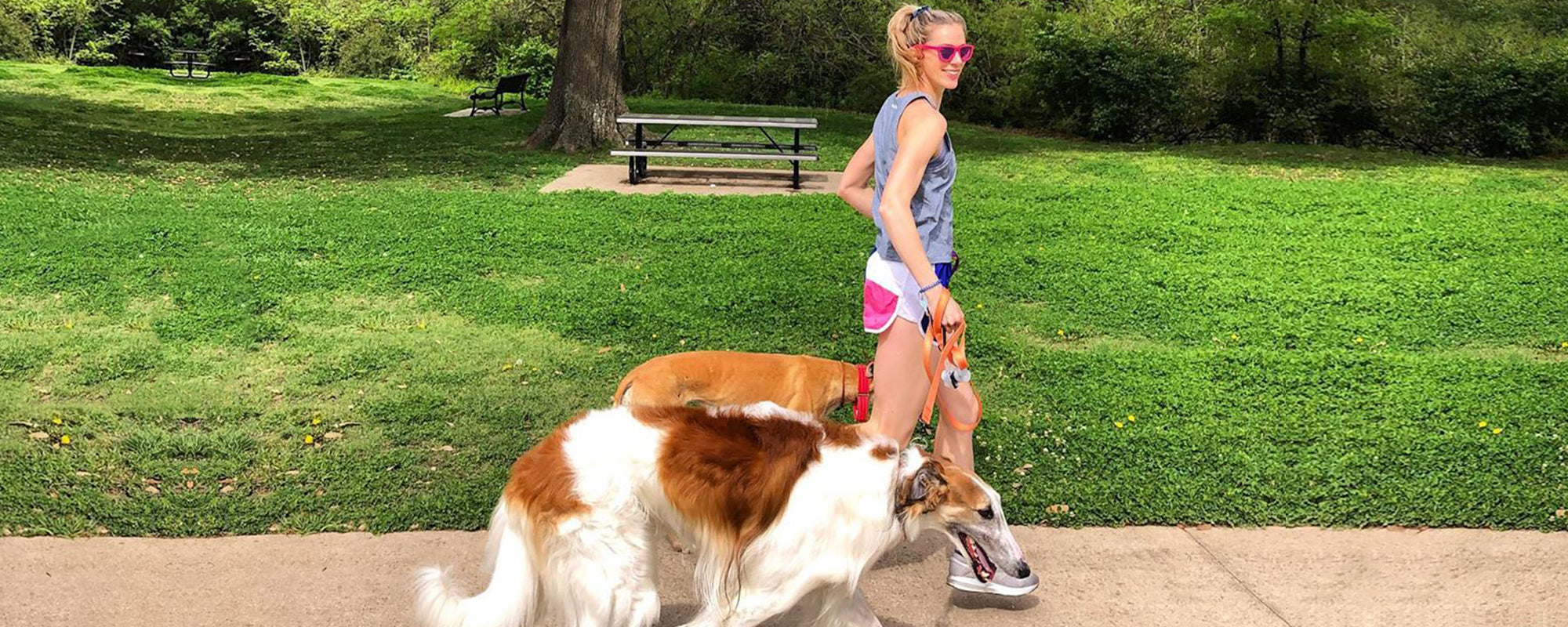 Top 5 Essentials for Running with Your Dog