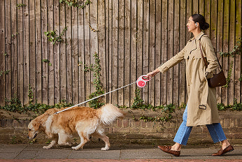 shokz technology image